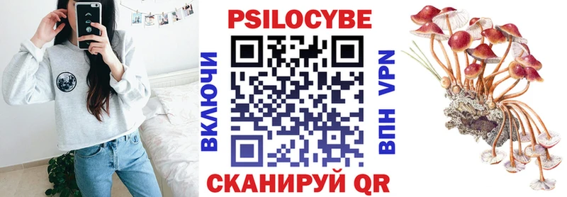 купить наркотик  kraken как зайти  Псилоцибиновые грибы прущие грибы  Среднеколымск 