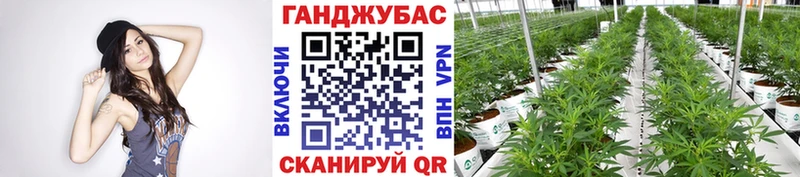 Марихуана Bruce Banner  Среднеколымск 